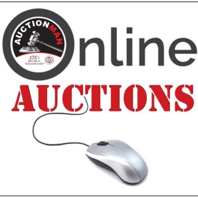 Online Auctions